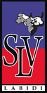 Logo LABIDI