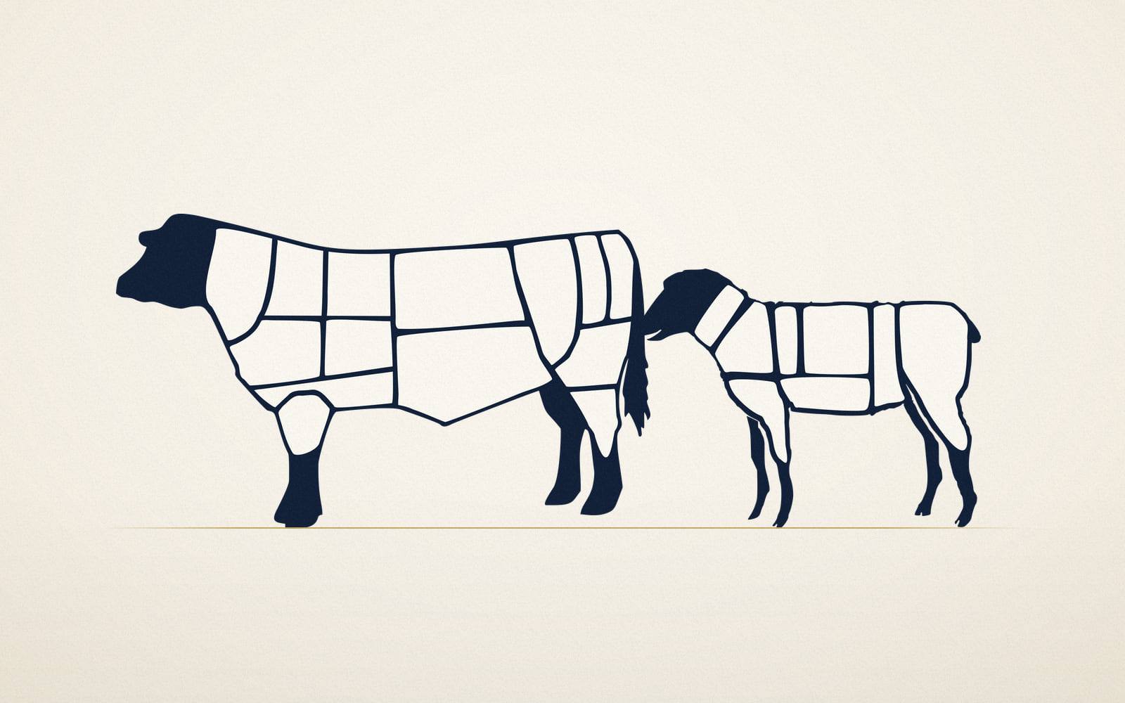 Beef and lamb cut charts